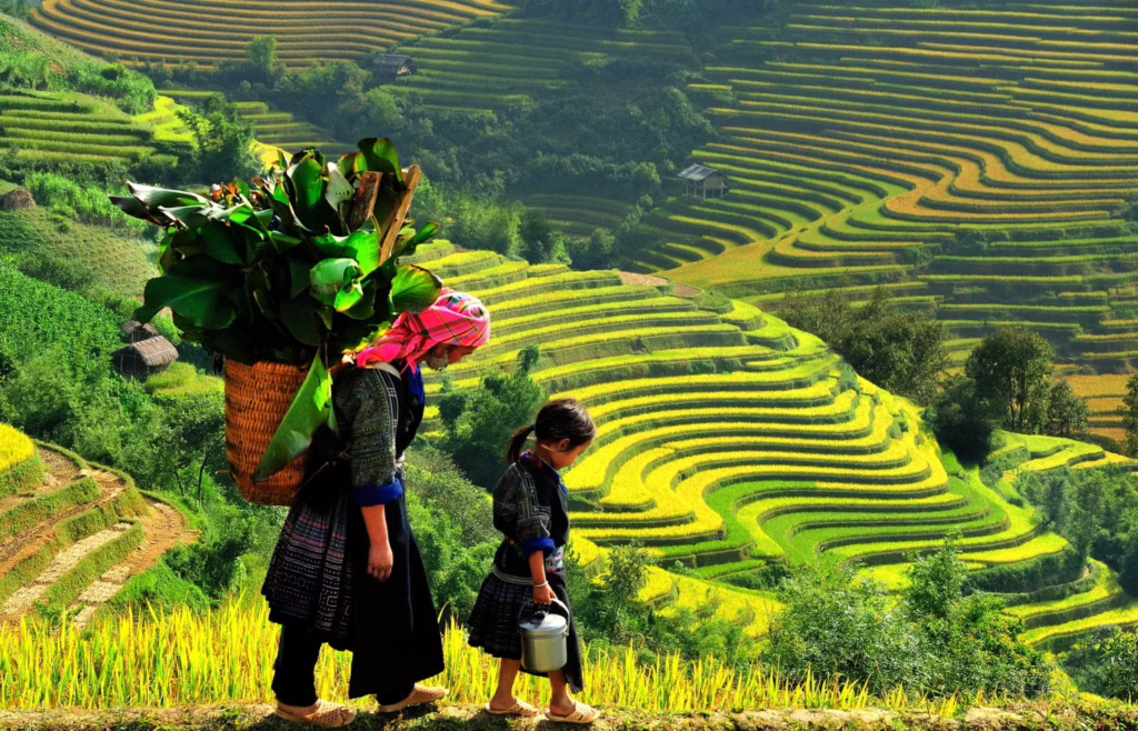 sapa-trekking-1-1024x658