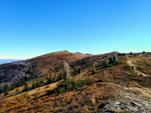 Rumunsko, Karpaty