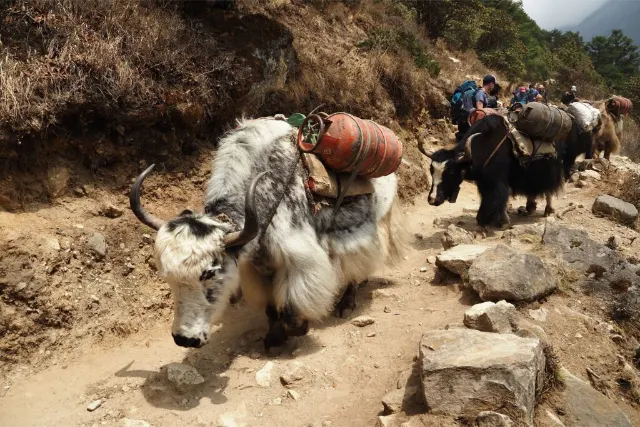 Nepál – Everest Base Camp trek
