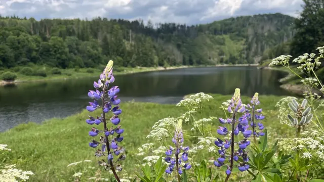 Vodní nádrž Vír, Vysočina na kole