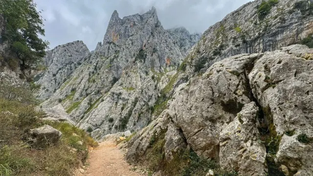 Picos de Europa