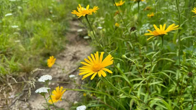 Turistický přechod NP Gesäuse a Hochtoru