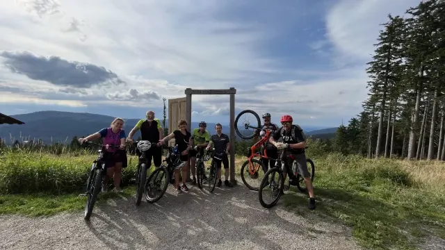 Pancíř, Šumava