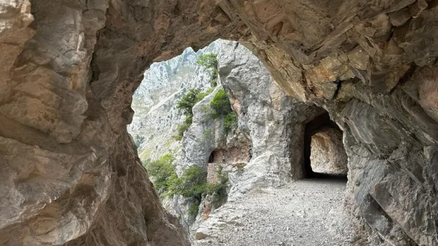 Picos de Europa