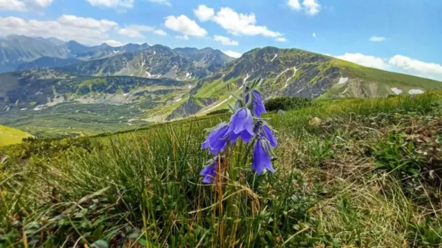 Přechod hřebene Západních Tater a Ostrého Roháče