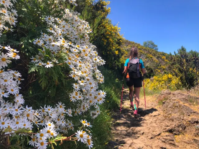 Cestou z Pico Grande potkáváme spoustu květin, Madeira