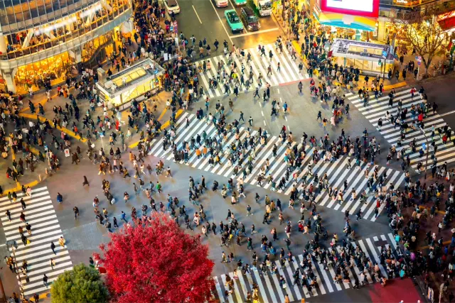 Shibuya city, Tokyo, Japonsko