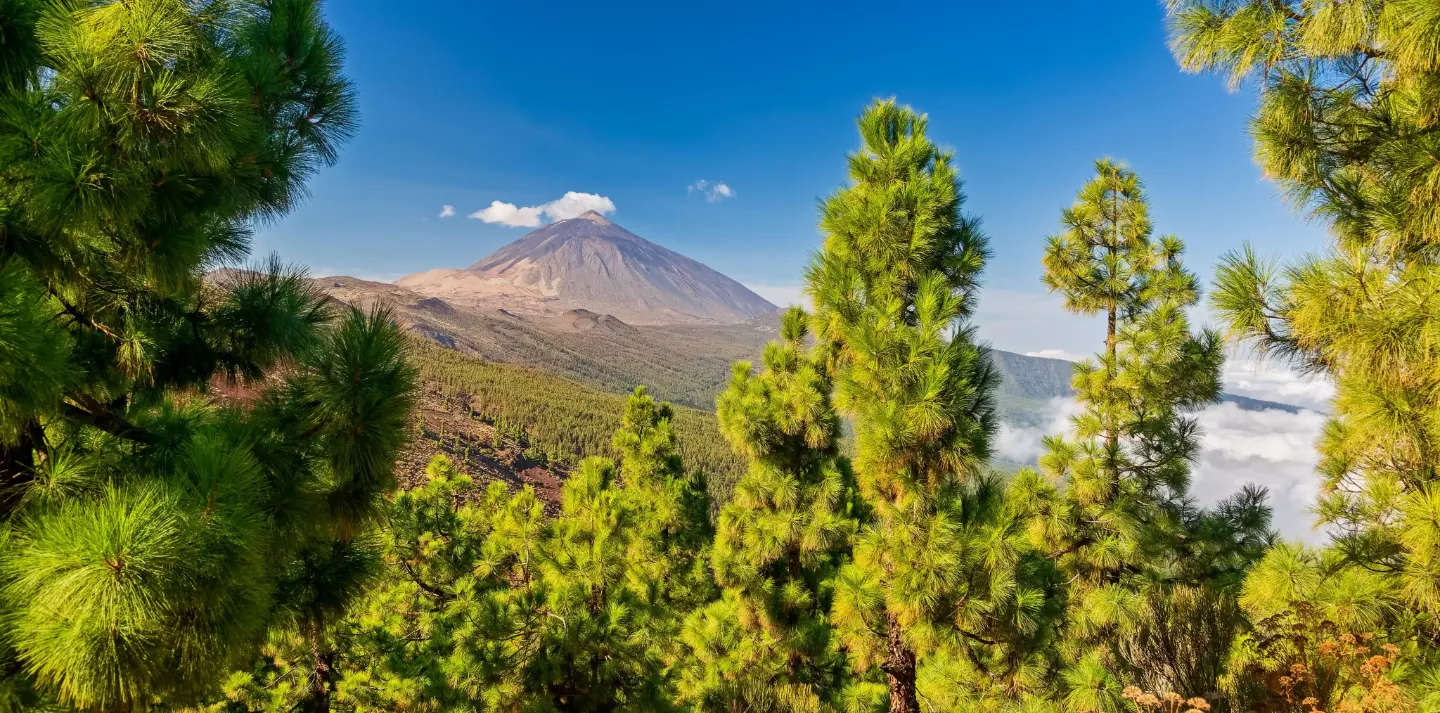 Teide, Tenerife s výstupem na Pico del Teide
