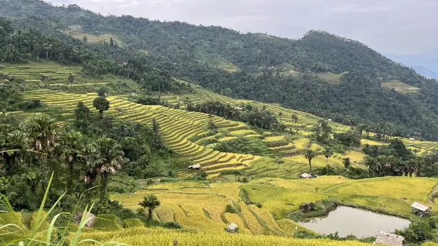 Kaskádovitá rýžová políčka, Ha Giang, Severní Vietnam