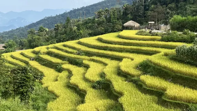Kaskádovitá rýžová políčka, Ha Giang, Severní Vietnam