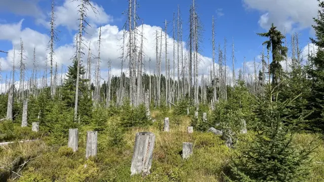 Národní park Šumava