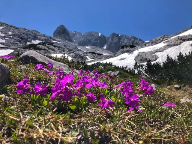 Hoher Dachstein