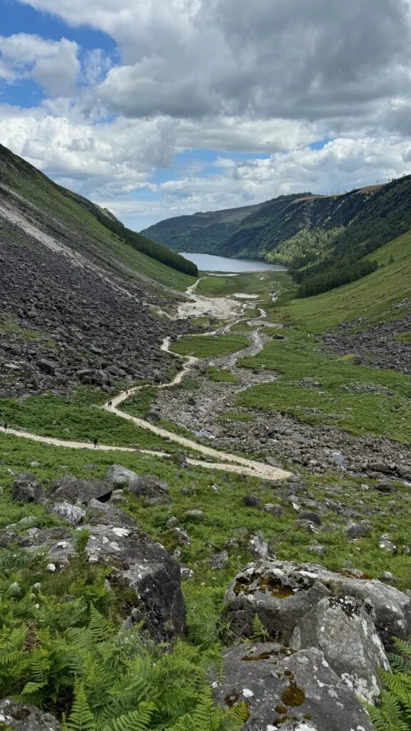 Hory Wicklow, Irsko