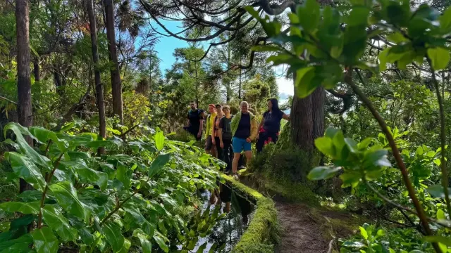 Leváda, Sao Miguel, Azorské ostrovy